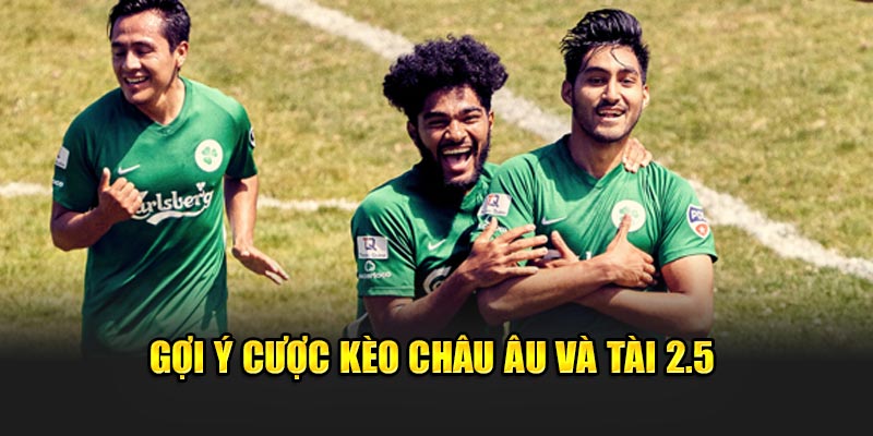 Gợi ý cược kèo châu Âu và Tài 2.5